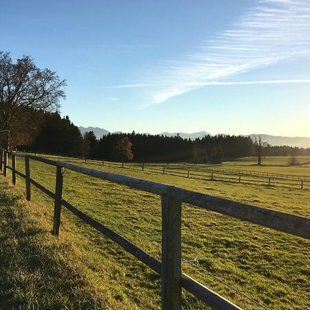 Ferienhaus Antdorfer Gartenglueck Eksteriør billede
