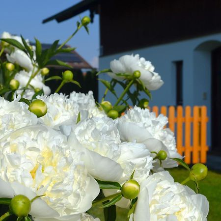 Ferienhaus Antdorfer Gartenglueck Eksteriør billede